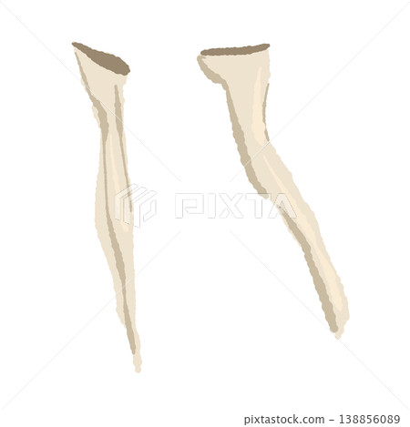 An illustration of an eringi mushroom being torn apart by two hands. 138856089