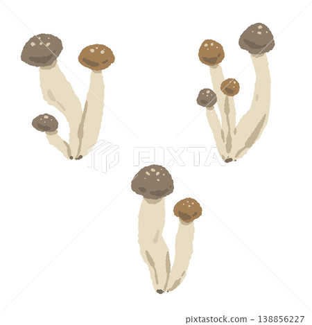 Set of individually packaged shimeji mushrooms (variations) Set of individually packaged shimeji mushrooms (variations) 138856227