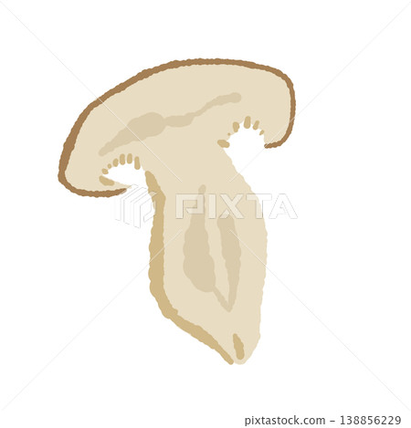 Shimeji mushroom cut in half (cross-section) 138856229