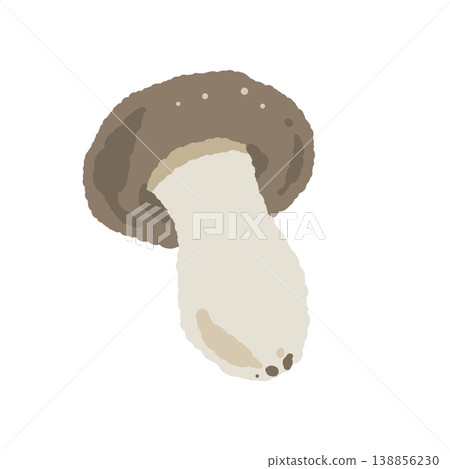 Hon-shimeji mushrooms (single, diagonal) 138856230