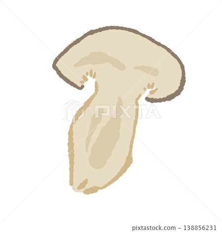 切開的本紫菇（橫切面，正面圖） 138856231