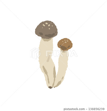 Two hon-shimeji mushrooms (variation) Two hon-shimeji mushrooms (variation) 138856239