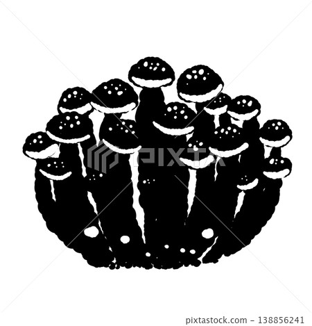 布納姬菇（單色） 138856241