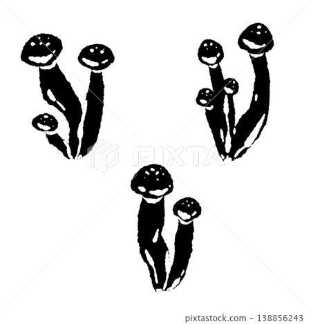 一套獨立包裝的白玉菇（單色，品種） 138856243