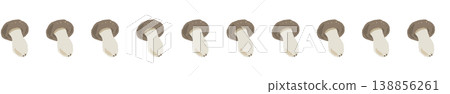 Line decoration/decorative border (sparse) on hon-shimeji mushrooms 138856261