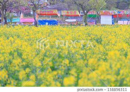 Akebonosan Agricultural Park 138856311