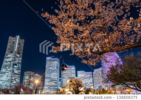 夜櫻 ~神奈川縣橫濱港未來 21.11~ 夜櫻 ~神奈川縣橫濱港未來 21.11~ 138856375