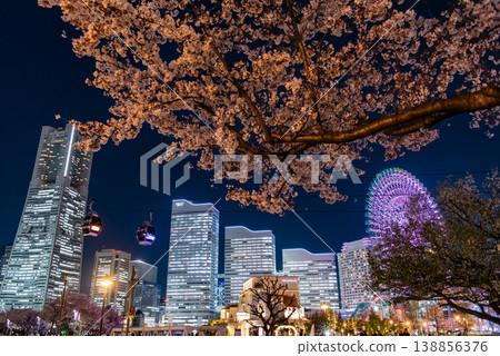 夜櫻 ~神奈川縣、橫濱港未來 21/12~ 夜櫻 ~神奈川縣、橫濱港未來 21/12~ 138856376