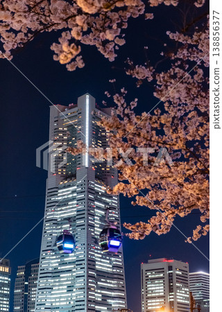 夜櫻 ~神奈川縣橫濱港未來 21, 13~ 夜櫻 ~神奈川縣橫濱港未來 21, 13~ 138856377