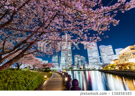 Nighttime cherry blossoms ~Kanagawa, Yokohama Minato Mirai 21-6~ 138856385