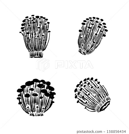 金針菇變種圖集（單色） 138856434