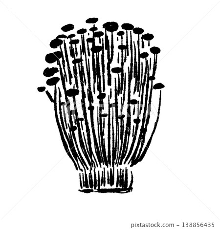 金針菇菌柄（正面圖，單色） 138856435