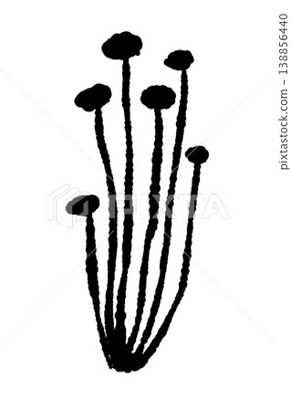 Enoki mushrooms separated into smaller portions (straight, monochrome) Enoki mushrooms separated into smaller portions (straight, monochrome) 138856440