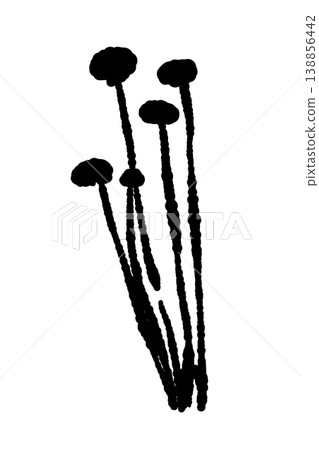 Enoki mushrooms separated into smaller portions (spread out, monochrome) 138856442