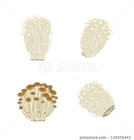 金針菇品種組合裝(白色和棕色) 金針菇品種組合裝(白色和棕色) 138856443