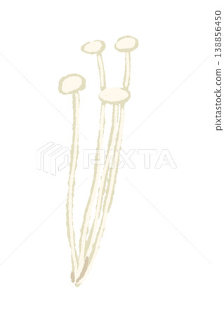 一張金針菇（傾斜）被分成小塊的插圖。 138856450