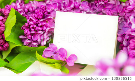 beautiful dark purple fresh lilac on the pink background, purple background 138856515