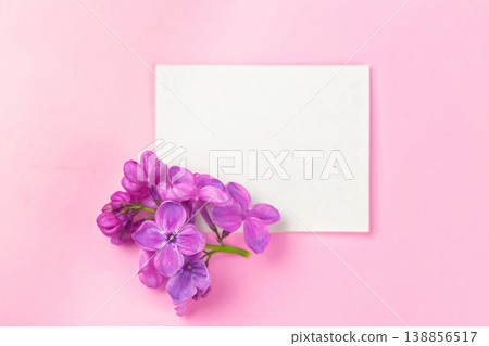 beautiful dark purple fresh lilac on the pink background, purple background 138856517