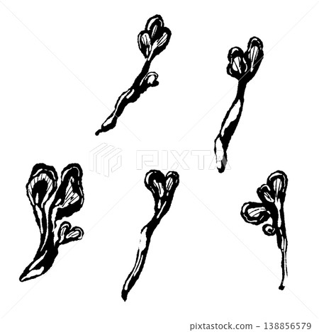 一組手工撕碎的舞茸菇（單色） 138856579