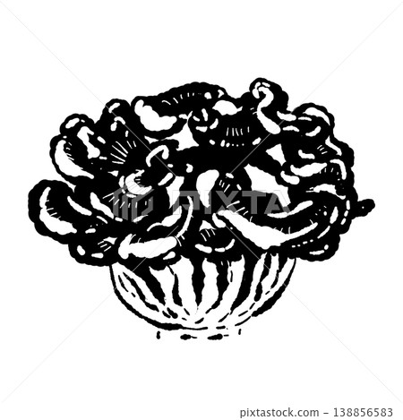 舞茸（整朵，斜切，單色） 138856583