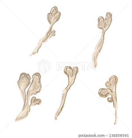 一組手工撕碎的舞茸 138856591