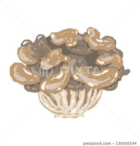 舞茸（整朵，斜切） 138856594