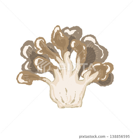 Half-cut maitake mushroom (cross-section) 138856595