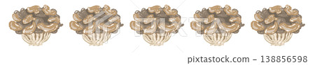 Maitake mushroom line decoration/decorative border Maitake mushroom line decoration/decorative border 138856598