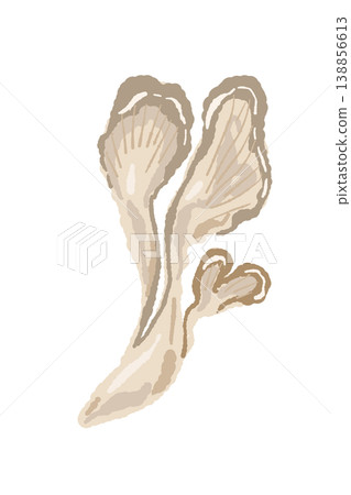 Two maitake mushrooms torn apart by hand. Two maitake mushrooms torn apart by hand. 138856613