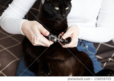 Black cat claw trimming prevents scratches protects furniture supports health 138856705