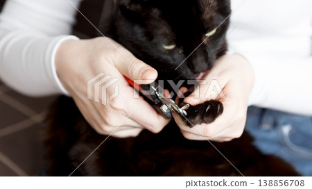 Black cat receiving a gentle claw trim during routine pet grooming session Black cat receiving a gentle claw trim during routine pet grooming session 138856708