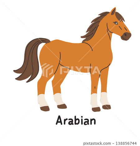 Hand drawn vector illustration of an Arabian horse on a white background 138856744