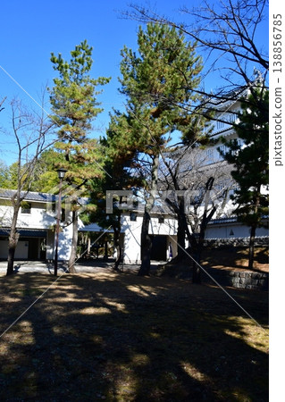 Oshi Castle 17: Main Enclosure Site 138856785