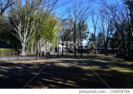 大志城18:主城遺址 大志城18:主城遺址 138856786