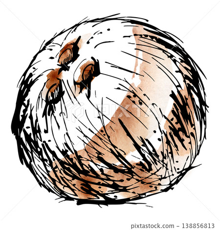 Whole tropical coconut fruit, textured brown hairy shell. Isolated illustration hand drawn in ink, watercolor. Tropical drink branding, island travel posters, exotic recipe books, summer party decor 138856813