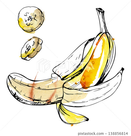 Yellow peeled banana exotic tropical fruit, whole and sliced pieces. Isolated illustration hand drawn in watercolor. Smoothie recipes, breakfast menus, baking guides, grocery labels, packaging design. 138856814