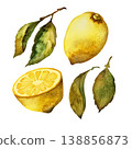 Lemon fruits with green leaves. Set of hand-drawn watercolor elements isolated on white background 138856873