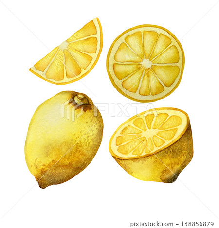 Lemon fruits watercolor illustration. Set of hand-drawn watercolor elements isolated on a white background. 138856879