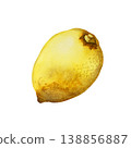 Yellow lemon fruit. Hand drawn watercolor illustration. Watercolor element isolated on a white background. 138856887