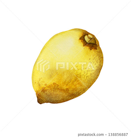 Yellow lemon fruit. Hand drawn watercolor illustration. Watercolor element isolated on a white background. Yellow lemon fruit. Hand drawn watercolor illustration. Watercolor element isolated on a white background. 138856887