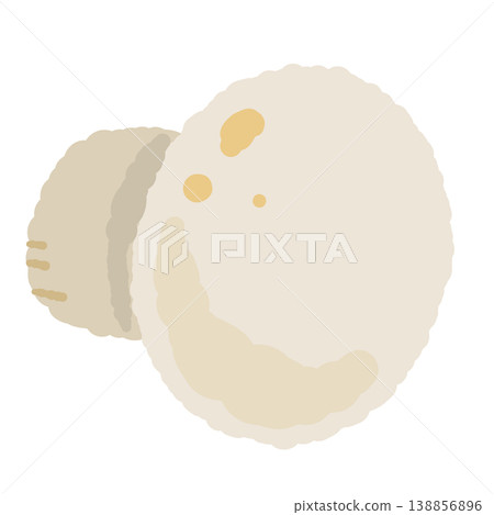 White mushroom (single, front view) White mushroom (single, front view) 138856896