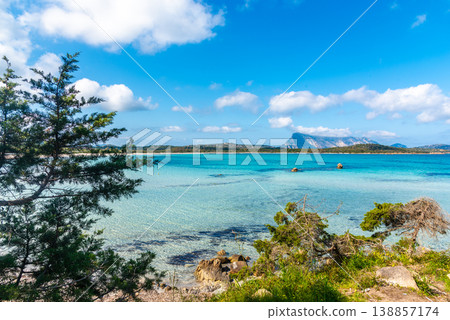 Lu Impostu beach in springtime Lu Impostu beach in springtime 138857174