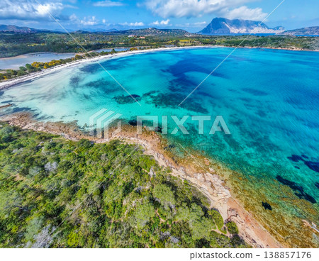 Aerial view of Cala Brandinchi shore in springtime Aerial view of Cala Brandinchi shore in springtime 138857176