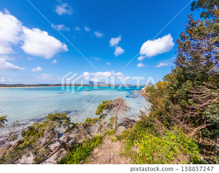 Turquoise water and plants in Lu Impostu beach 138857247