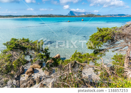 Plants and crystal clear water in Lu Impostu beach 138857253