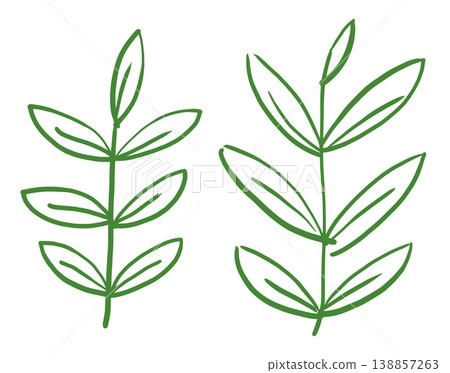 It is an illustration of a leaf. It is an illustration of a leaf. 138857263
