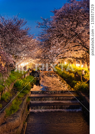 夜櫻 ~埼玉縣新石川,8~ 夜櫻 ~埼玉縣新石川,8~ 138857329