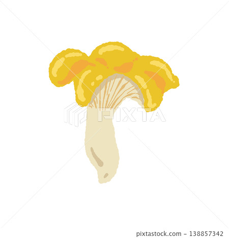 手繪杏桃鮑菇插圖（單個，正面視圖） 138857342