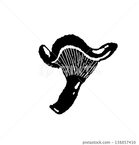Monochrome hand-drawn illustration material of apricot mushroom (single, diagonal, gills) Monochrome hand-drawn illustration material of apricot mushroom (single, diagonal, gills) 138857410