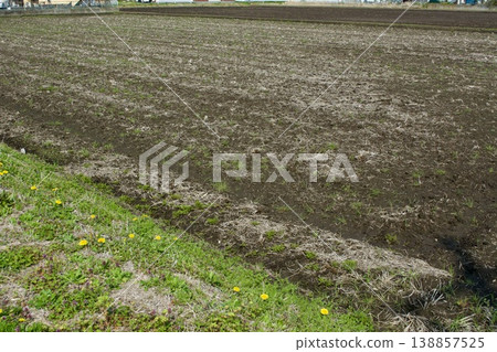 Rice field soil making 138857525